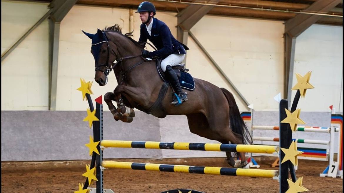 Dansk Varmblod Amillee ravnes-have billede 22