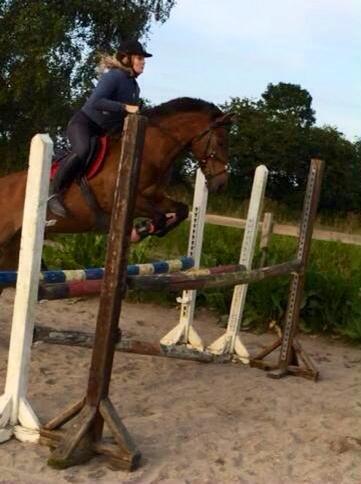 Anden særlig race Damgårdens Mister Mani billede 15