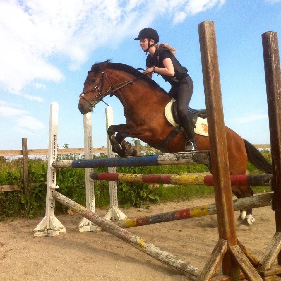 Anden særlig race Damgårdens Mister Mani billede 16