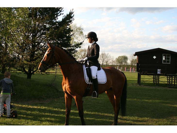 {{currentPhoto.altText}} billede {{currentPhoto.number}}