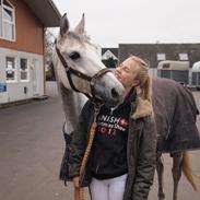 Anden særlig race Gipsy