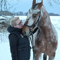 Anden særlig race Titon - Kong Triton SOLGT