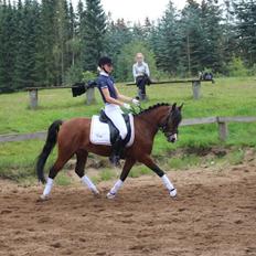 Knabstrupper Thrysøes Heimdal