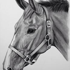 Paint Cosmo. mit hjerte barn 