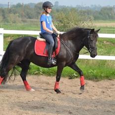 Aegidienberger Venja