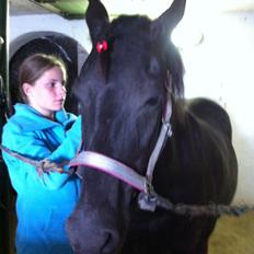 Aegidienberger Venja