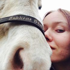 Islænder Jökladís Frá Markaskarði