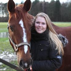 Anden særlig race Lady