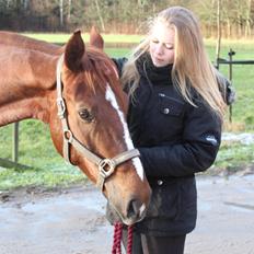 Anden særlig race Lady