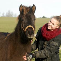 Islænder Elva Fra Laven Mark