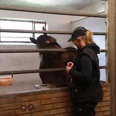 Anden særlig race Fabian R:I:P