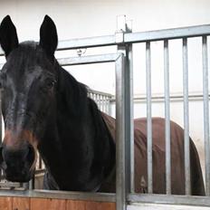 Oldenborg Constance (Lånt)