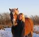 Haflinger Bella (Tysk navn: Bubles) SOLGT :-(