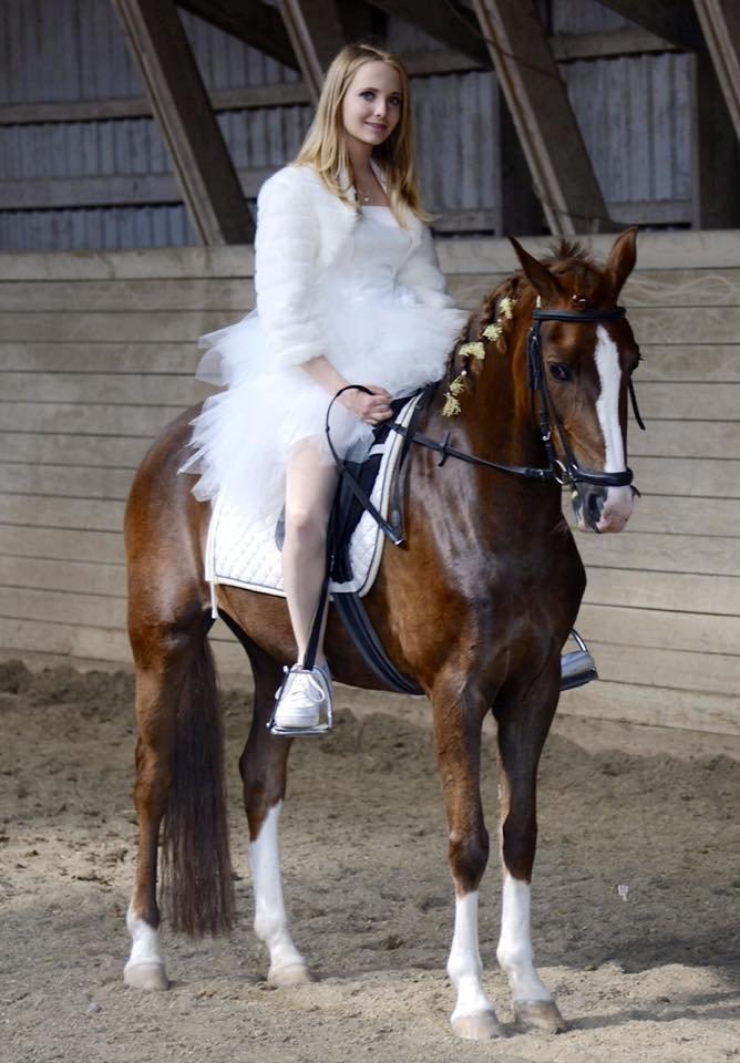 New Forest Veenwijk`s Chester billede 1