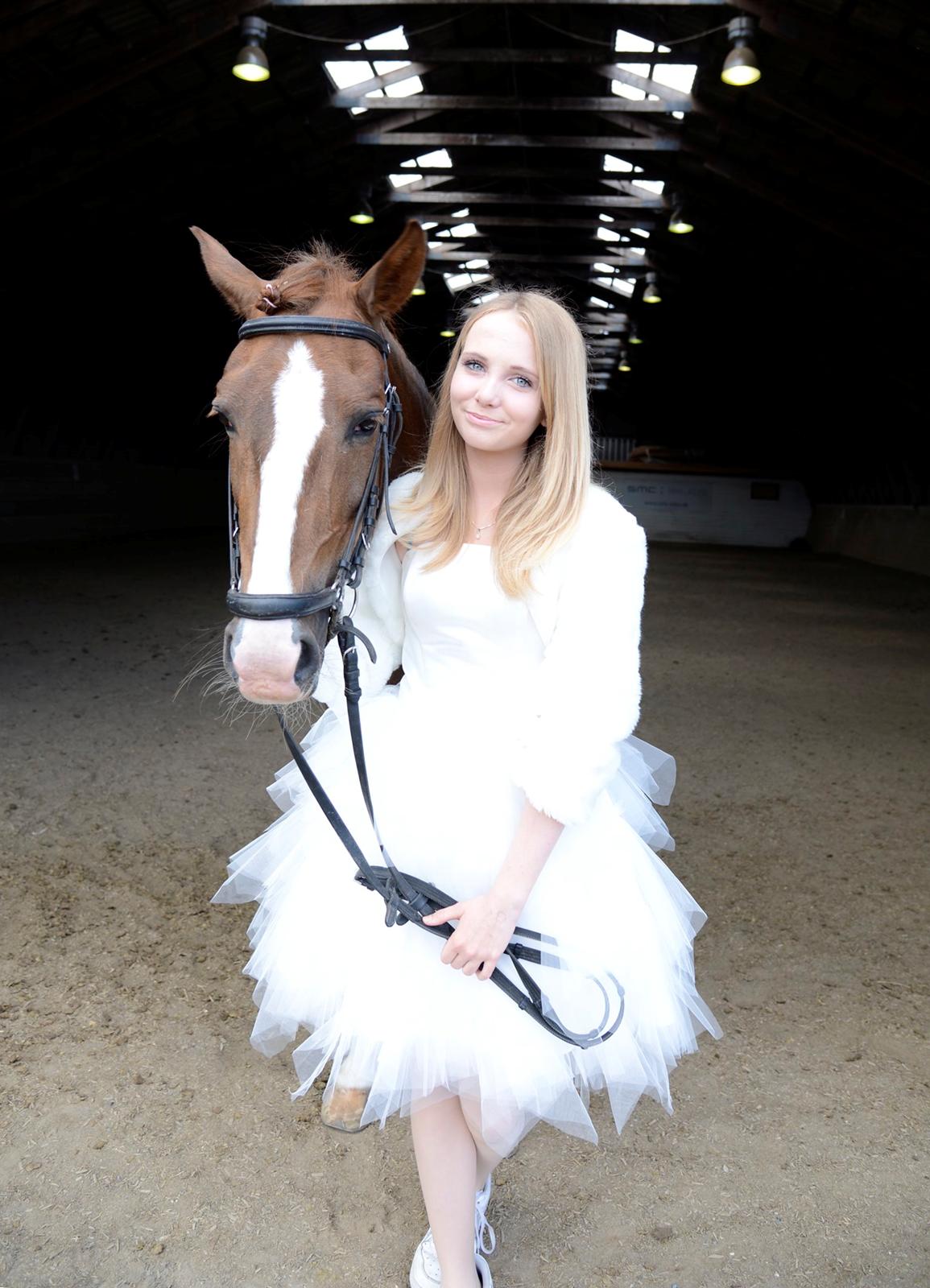 New Forest Veenwijk`s Chester billede 20