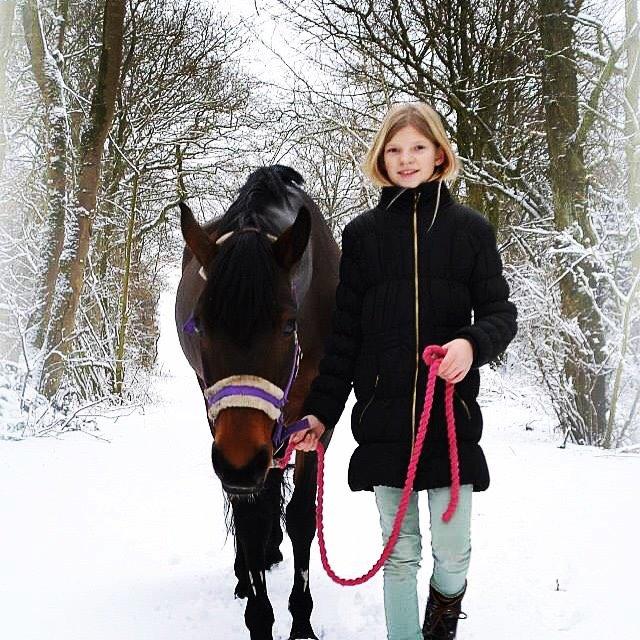 Connemara Ballycullen lass billede 2