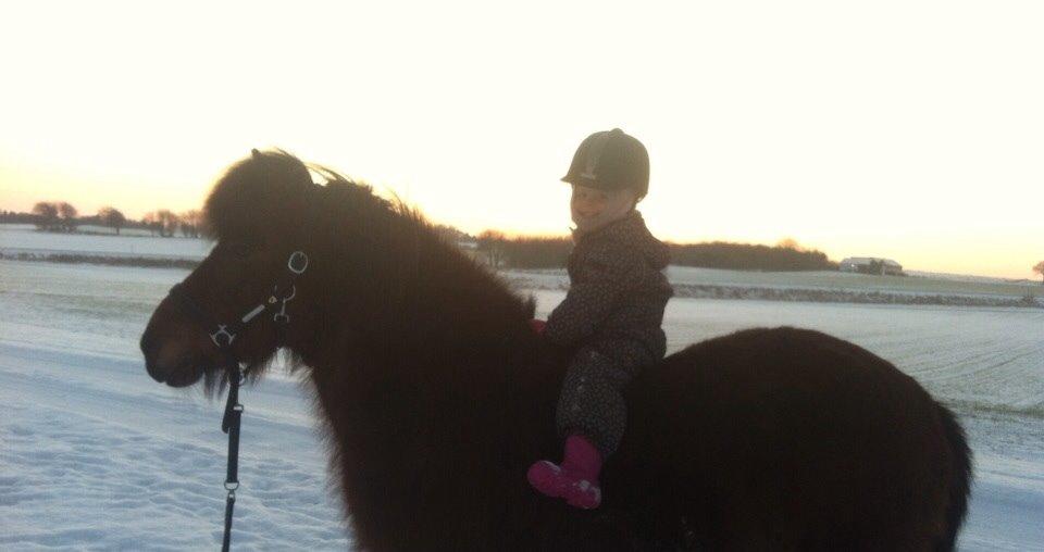 Islænder Vigdis fra Frederiksdal billede 25