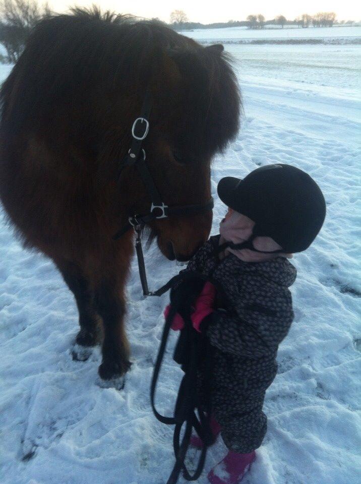 Islænder Vigdis fra Frederiksdal billede 27
