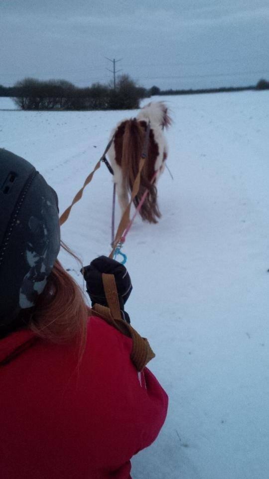 Miniature Bella billede 1