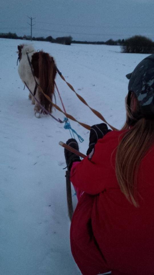 Miniature Bella billede 3