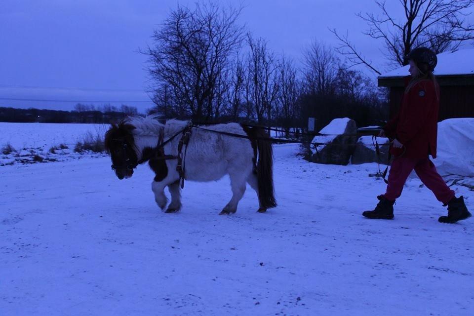 Miniature Bella billede 4