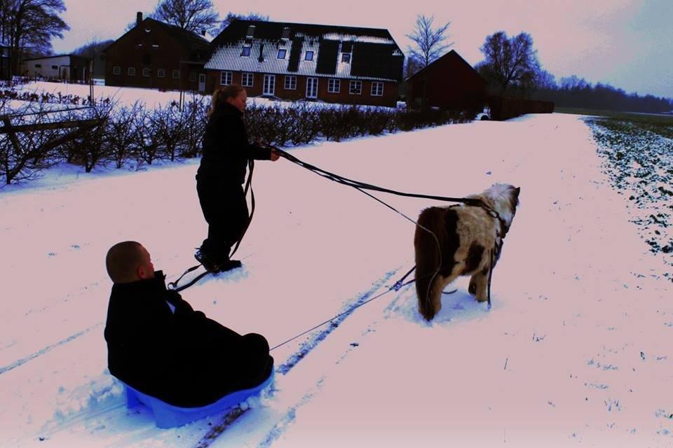 Miniature Bella billede 6