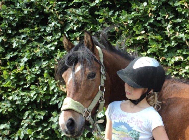 Knabstrupper Thrysøes Heimdal billede 13