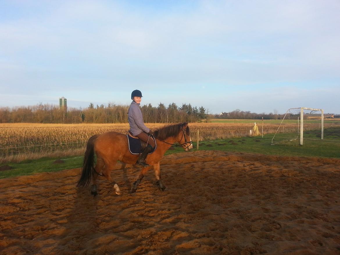 Anden særlig race *NALA* billede 14