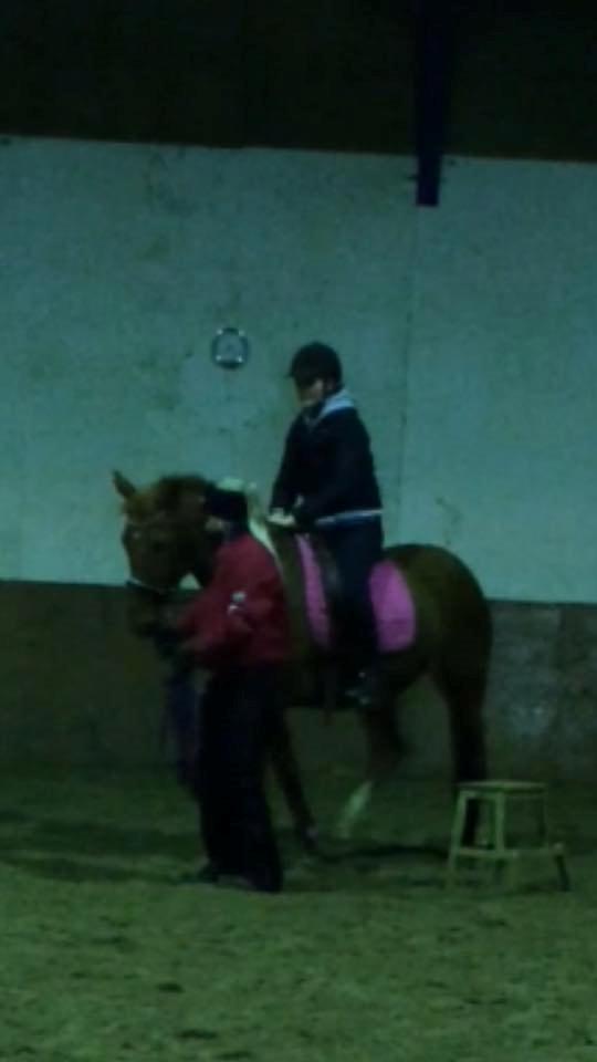 Anden særlig race Hope on fire. kaldet Wilma billede 7