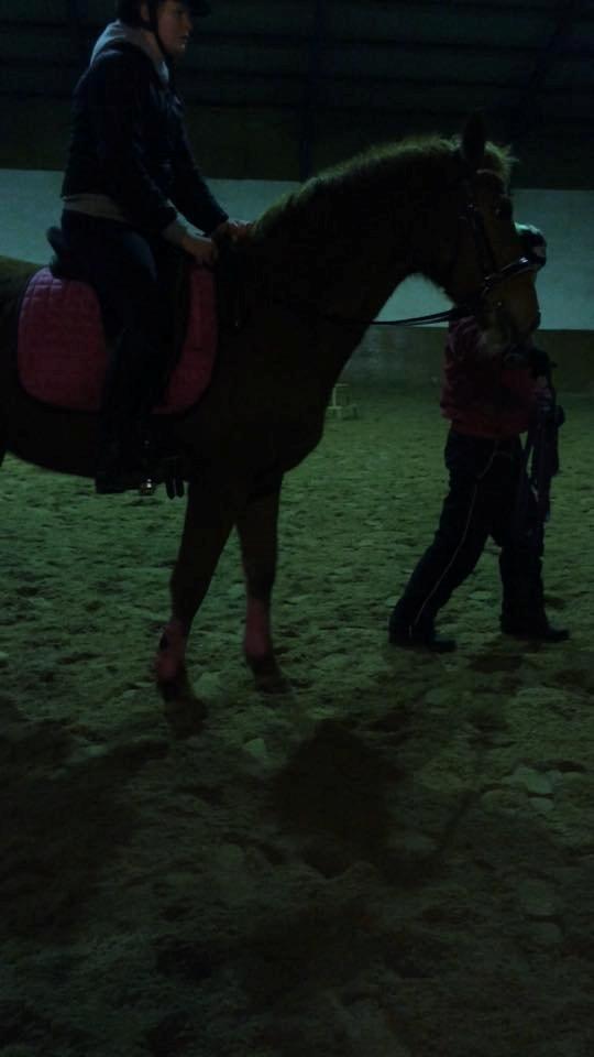 Anden særlig race Hope on fire. kaldet Wilma - verdens bedste wilma <3.. undskyld mit fjæs  billede 8