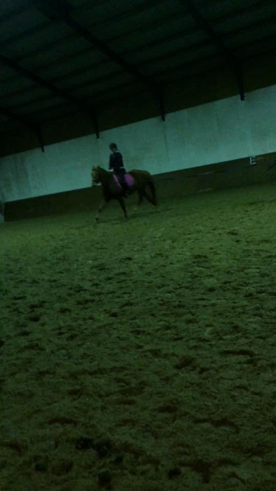 Anden særlig race Hope on fire. kaldet Wilma billede 16