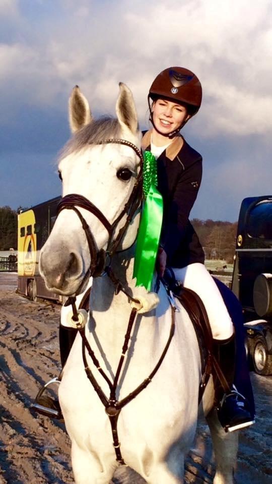 Dansk Varmblod Camari - Søde Camari med placering. billede 3