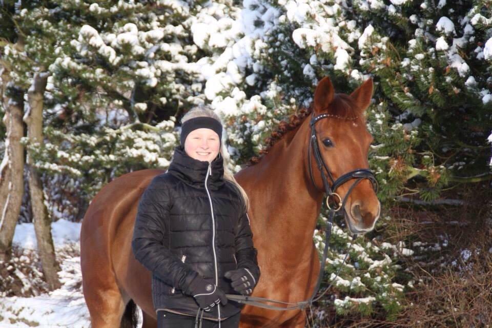 DSP Hot Chili [My soulmate] billede 15