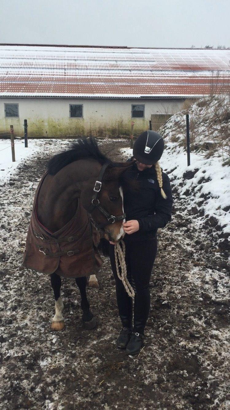 DSP Lundgaards Friday billede 16