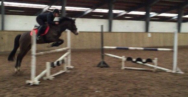 DSP Lundgaards Friday billede 18