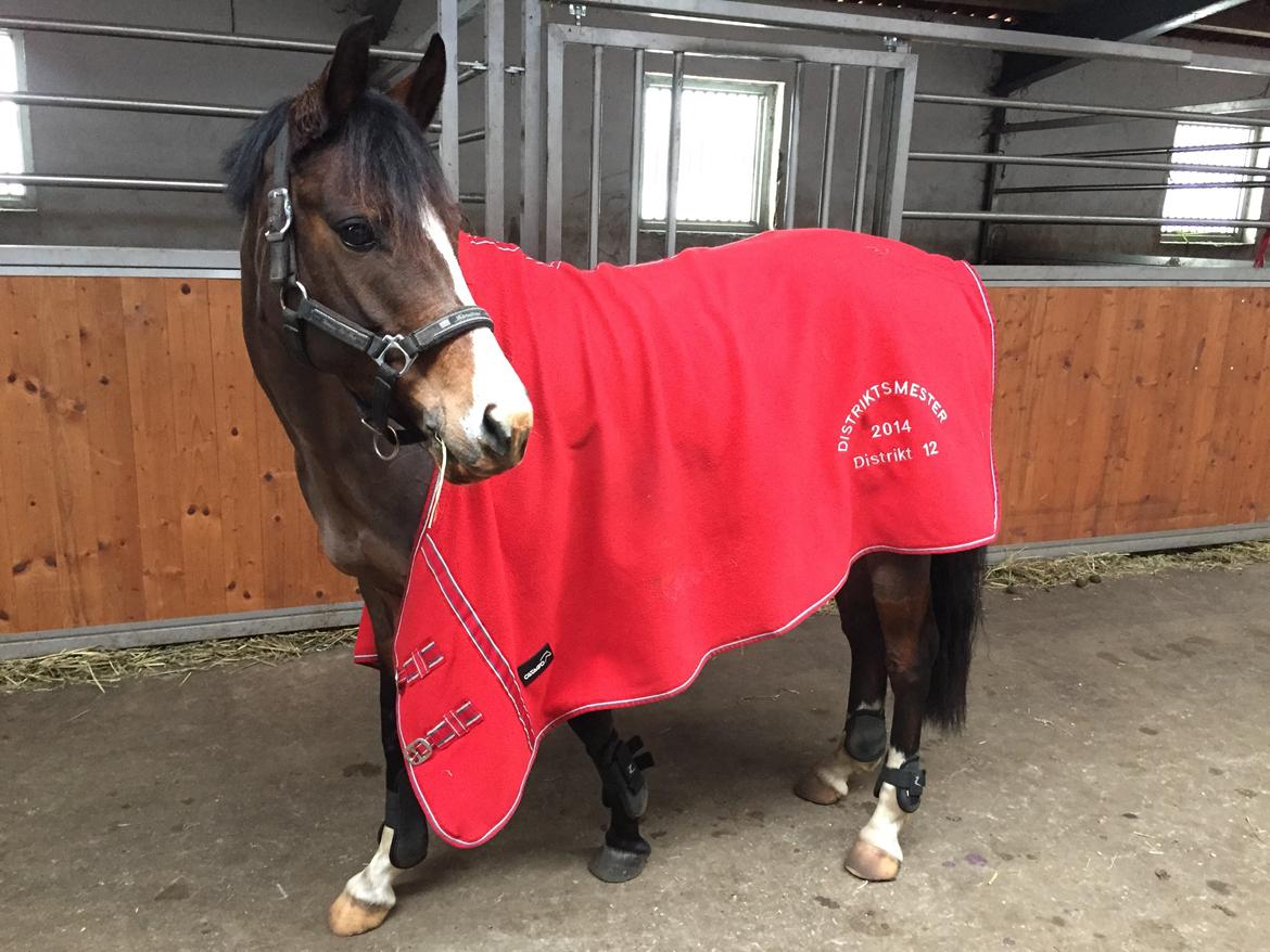 DSP Lundgaards Friday billede 20