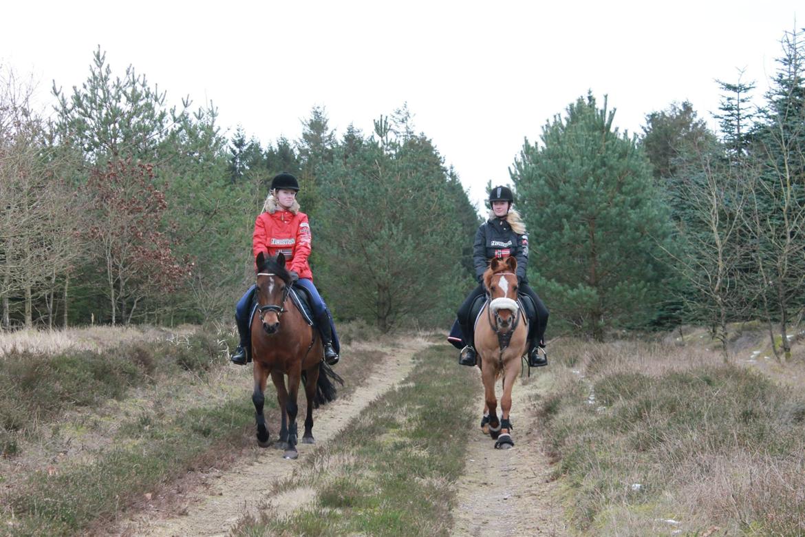 Anden særlig race Coco  - Hyggelig tur med familien! <3 billede 2