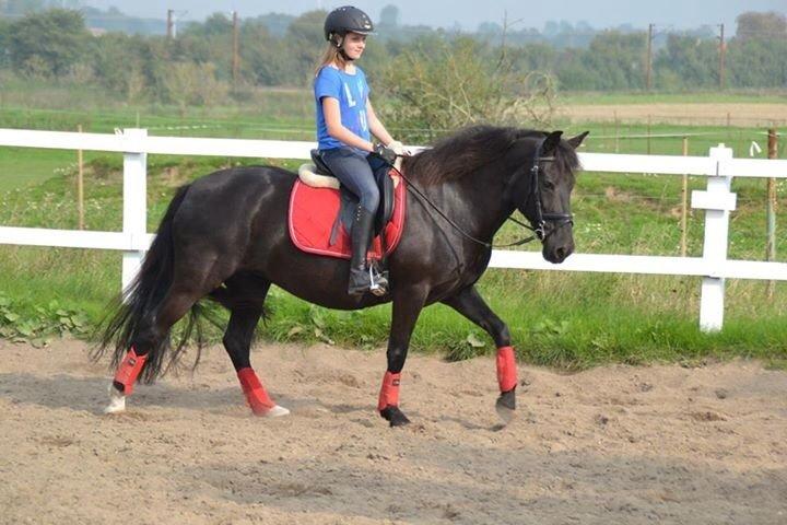 Aegidienberger Venja billede 1