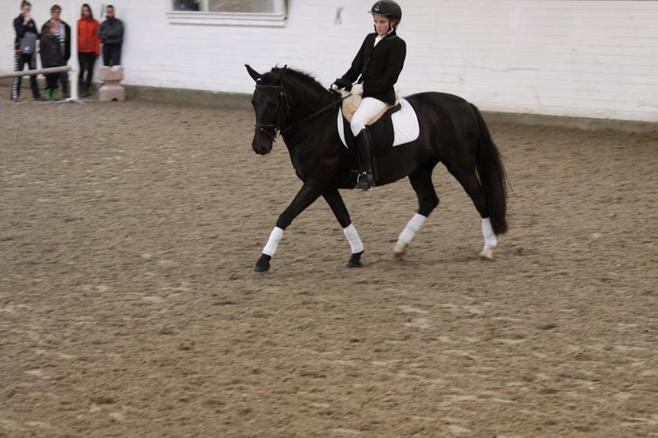 Aegidienberger Venja billede 2