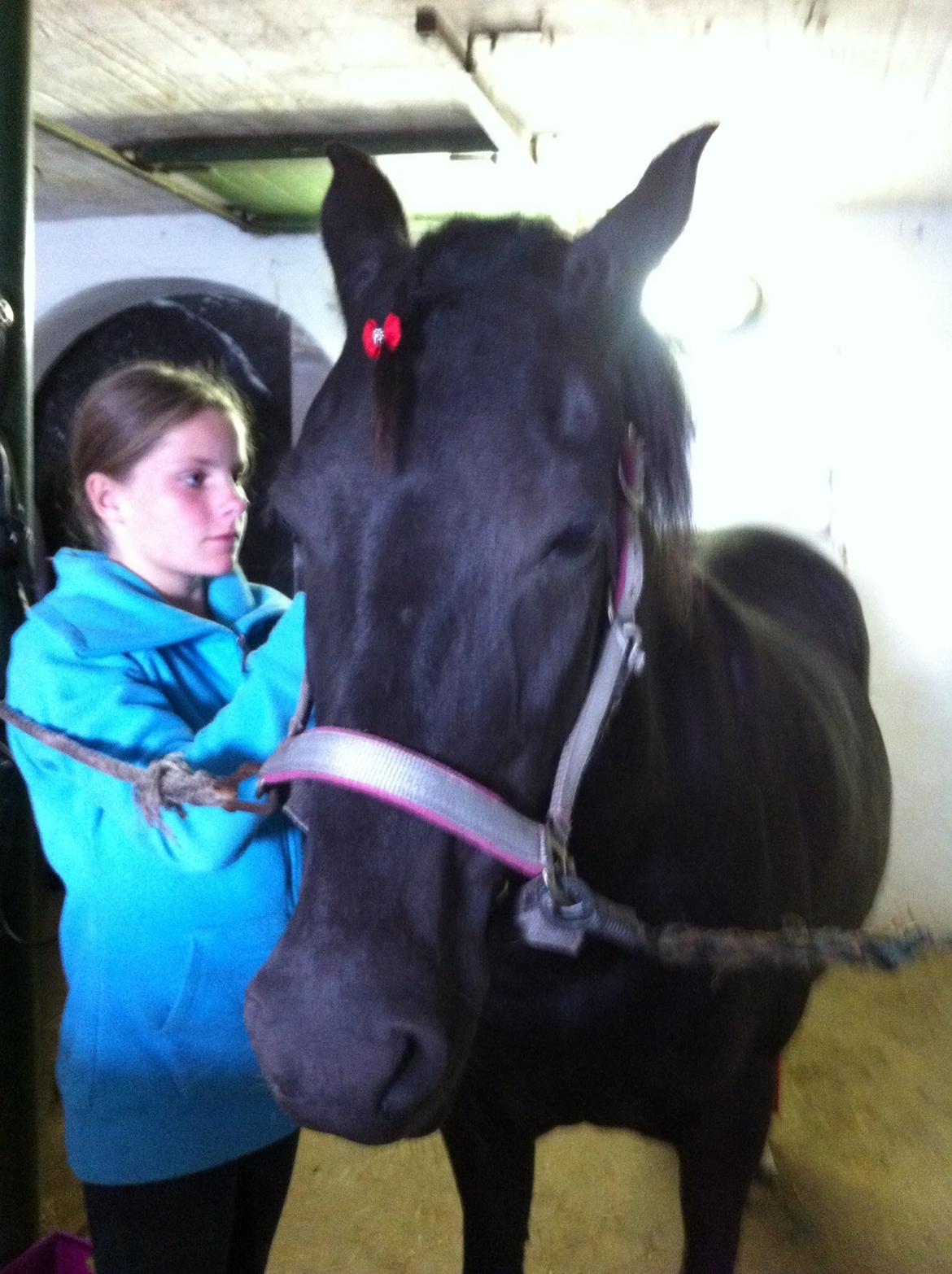 Aegidienberger Venja billede 3