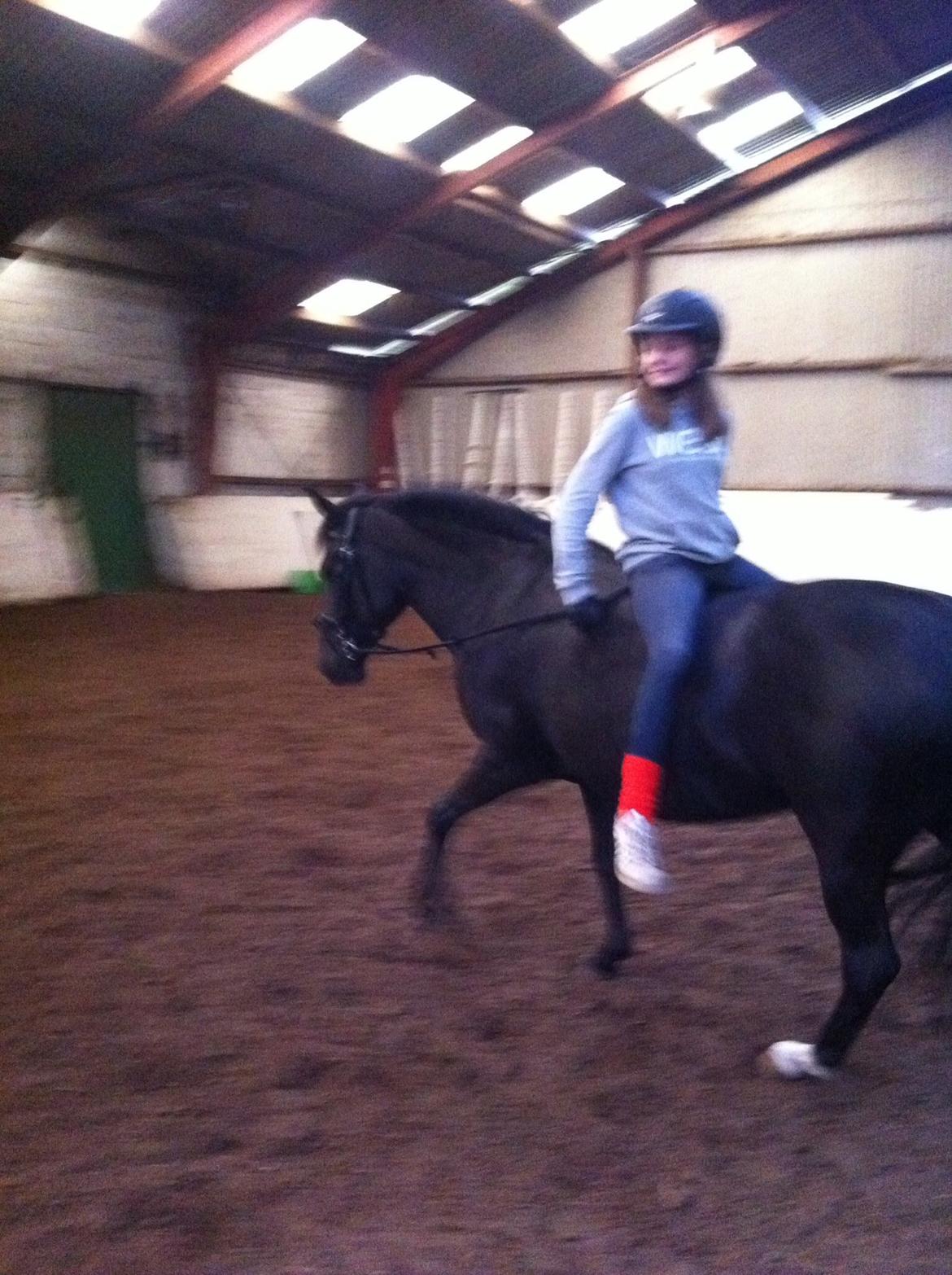 Aegidienberger Venja billede 4