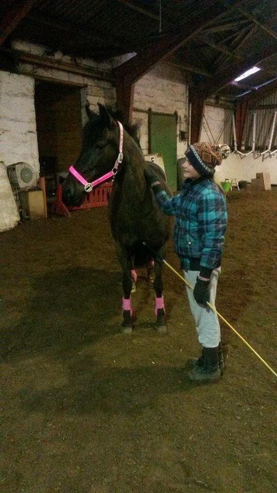 Aegidienberger Venja billede 6