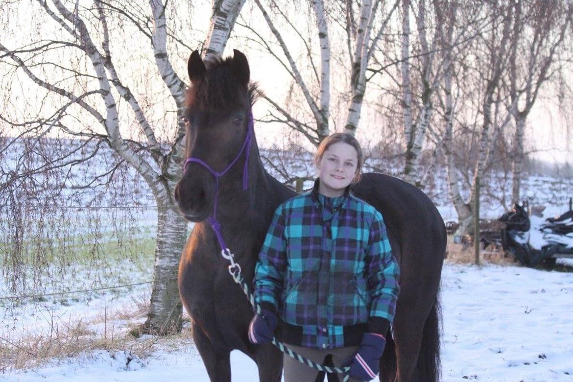 Aegidienberger Venja billede 9