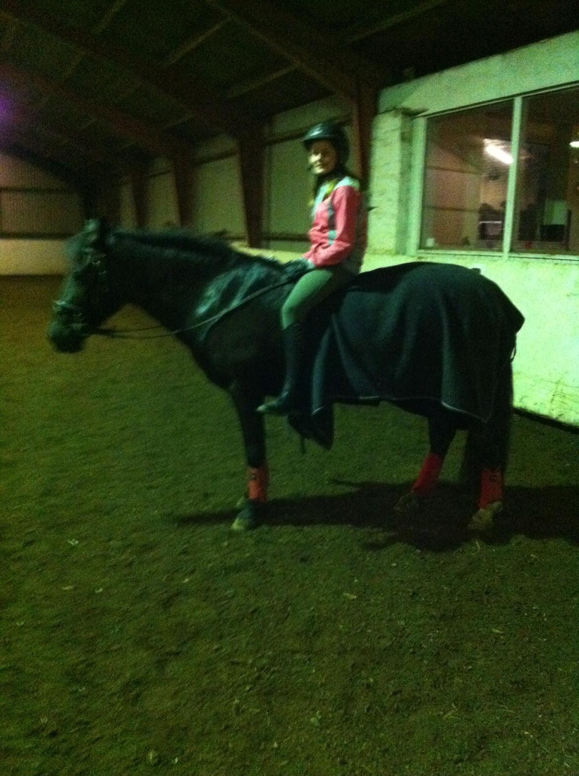 Aegidienberger Venja billede 18