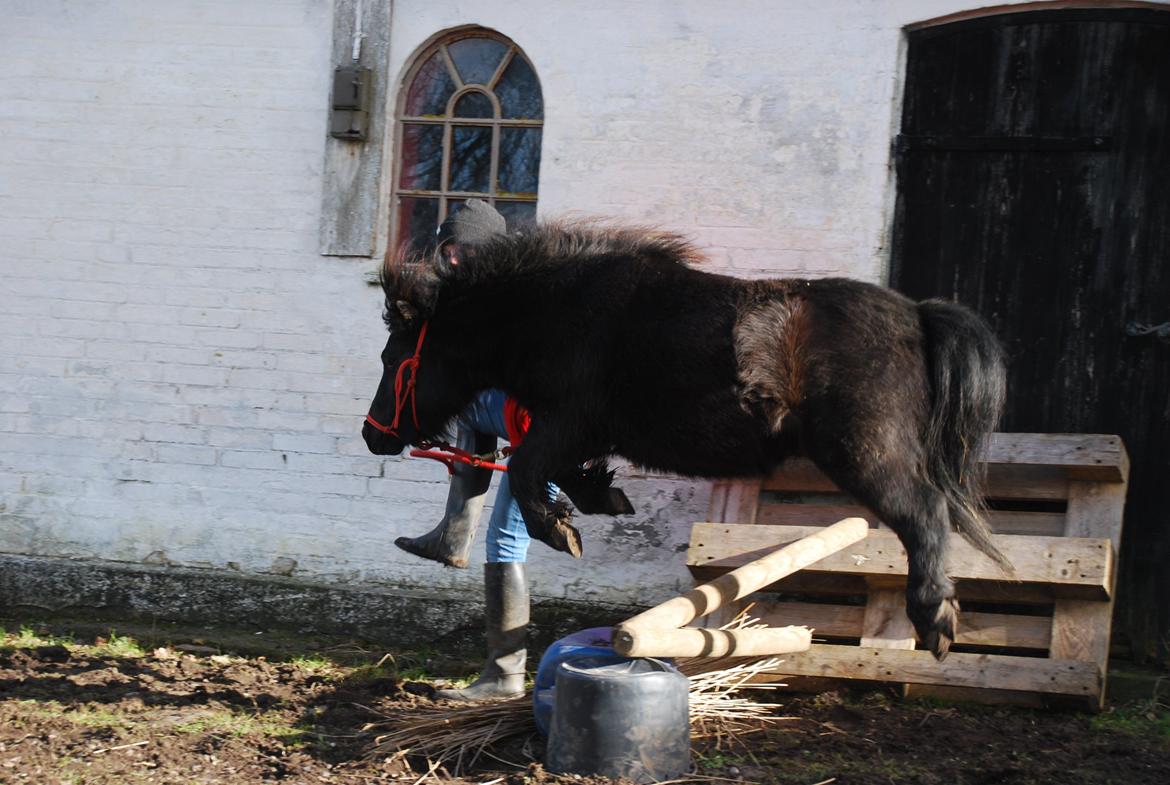 Dansk Miniature Legatgårdens Bechamel billede 18