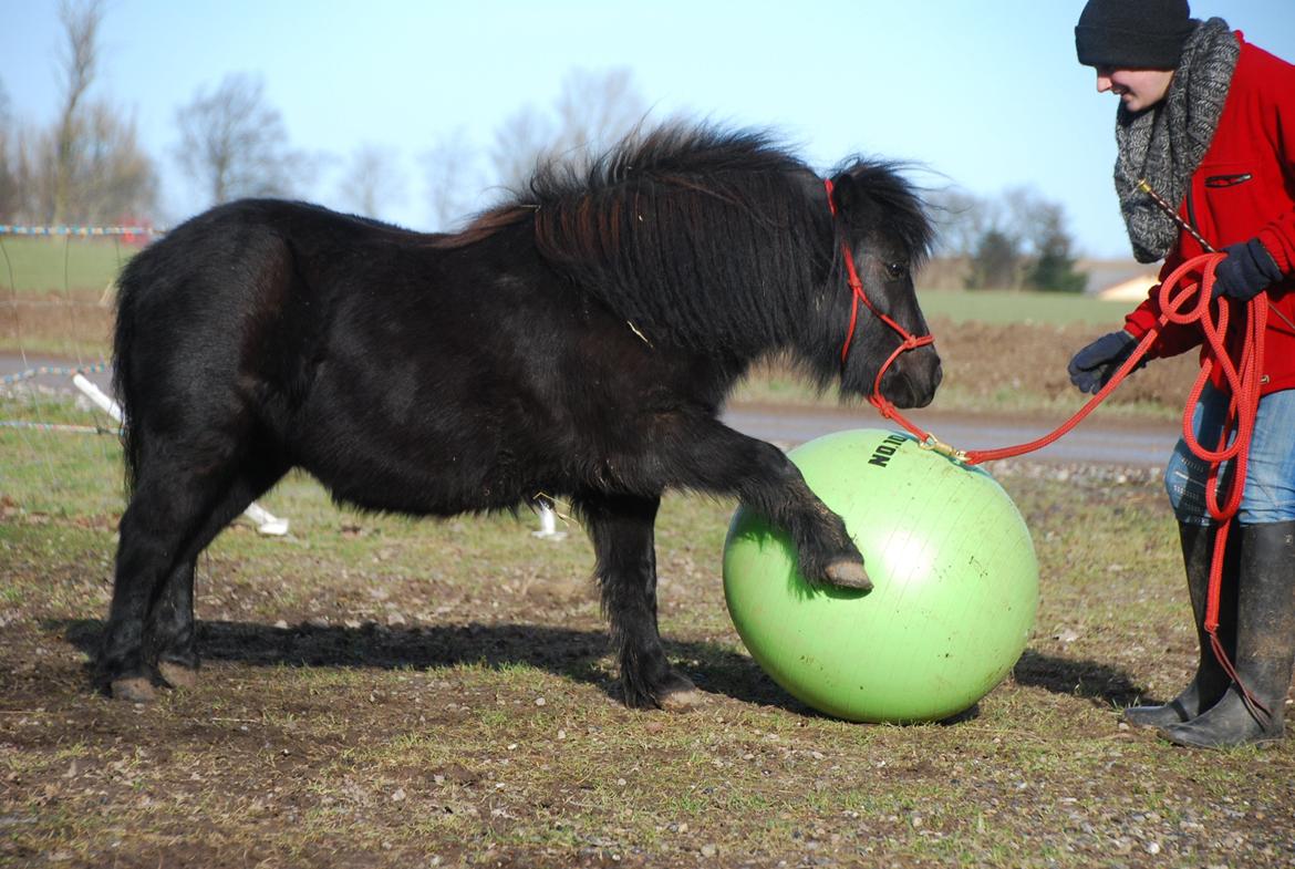 Dansk Miniature Legatgårdens Bechamel billede 15