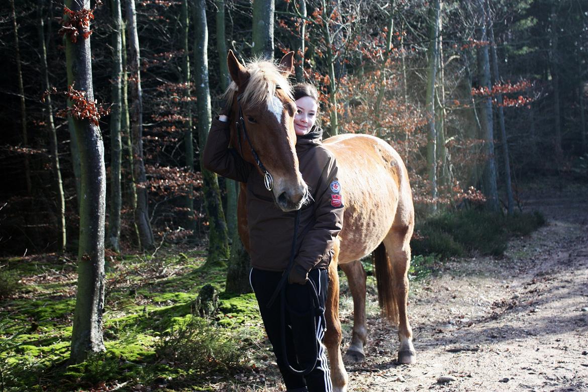 Frederiksborg | Ajaxander Jones (Ajax) - 09/02-15 billede 3