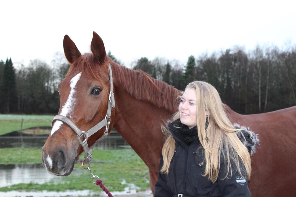 Anden særlig race Lady billede 5
