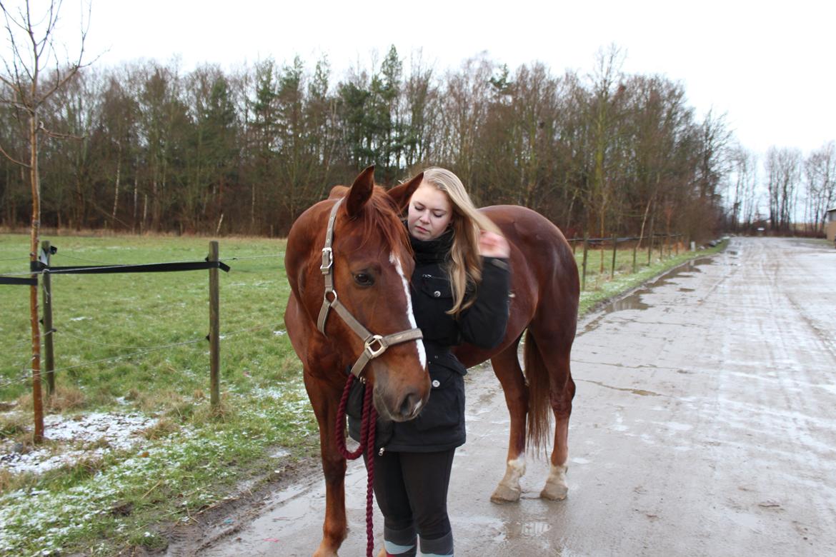 Anden særlig race Lady billede 4