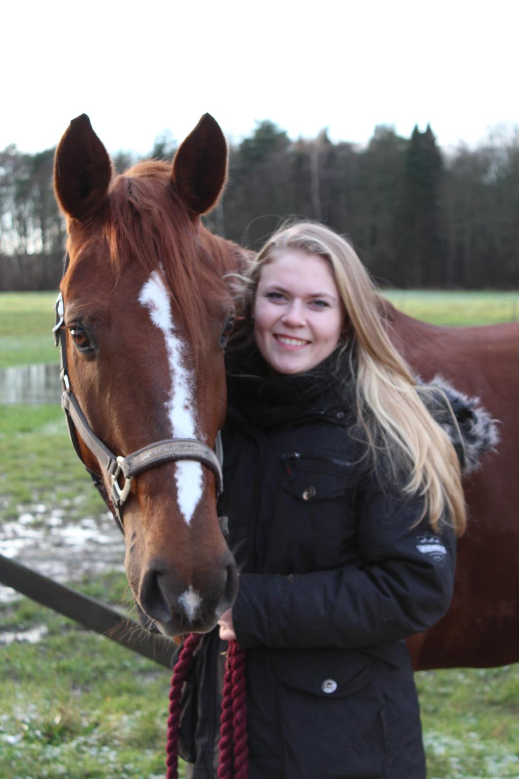 Anden særlig race Lady billede 1